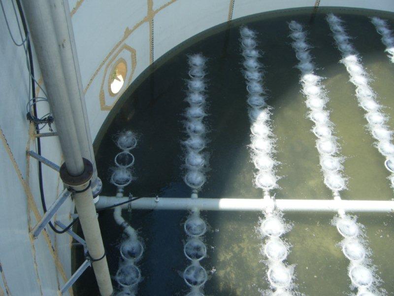 DSCF9607.jpg